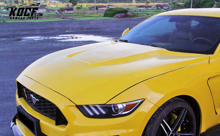 2015 MUSTANG GT350R STYLE HOOD