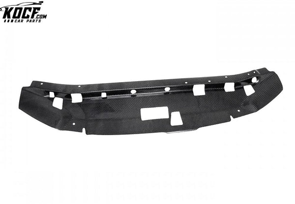 Seibon CARBON FIBER COOLING PLATE FOR 1999-2002 NISSAN SKYLINE R34 GT-R